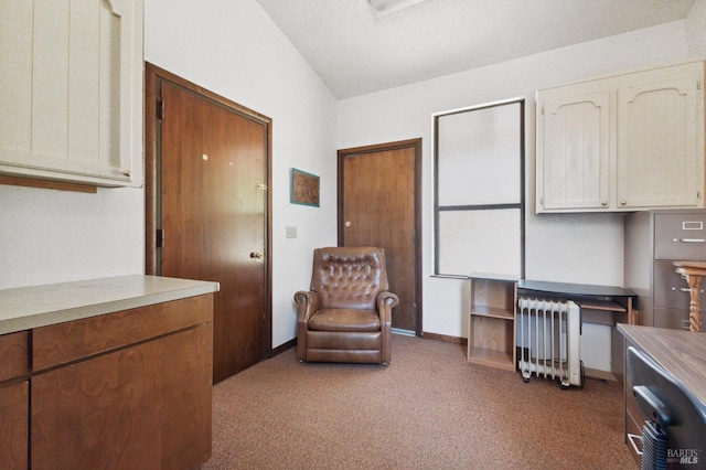 living area with a textured ceiling, lofted ceiling, built in desk, carpet floors, and radiator heating unit