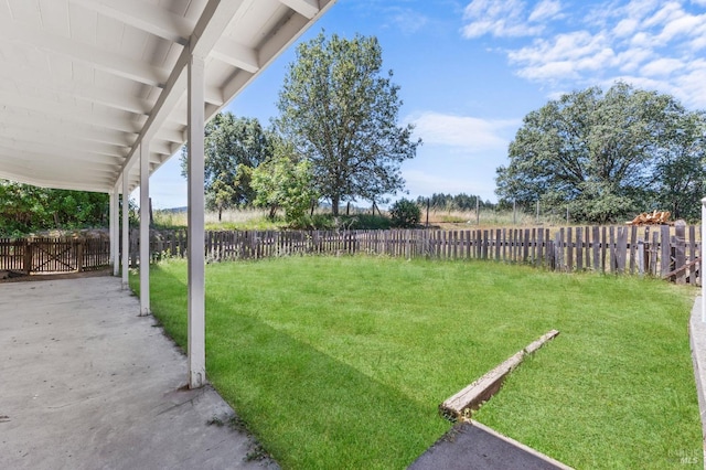 view of yard featuring a patio area