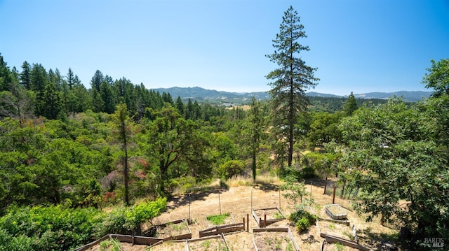 view of mountain feature featuring a wooded view