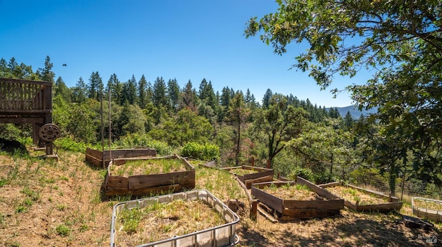 view of yard featuring a garden and a view of trees