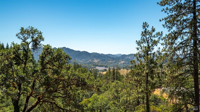 view of mountain feature with a view of trees