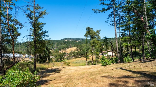 mountain view featuring a view of trees