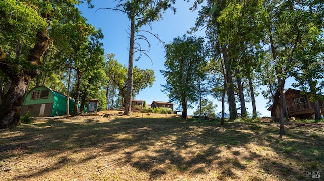 view of yard featuring an outbuilding and a shed