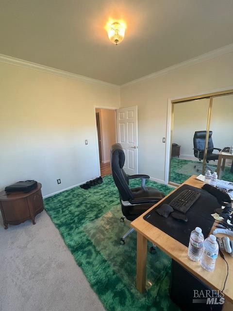 carpeted office featuring baseboards and ornamental molding