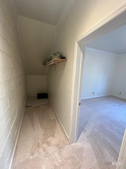 interior space with light carpet and concrete block wall