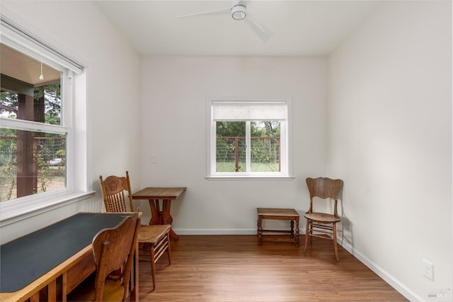 sitting room featuring ceiling fan, a healthy amount of sunlight, and wood-type flooring