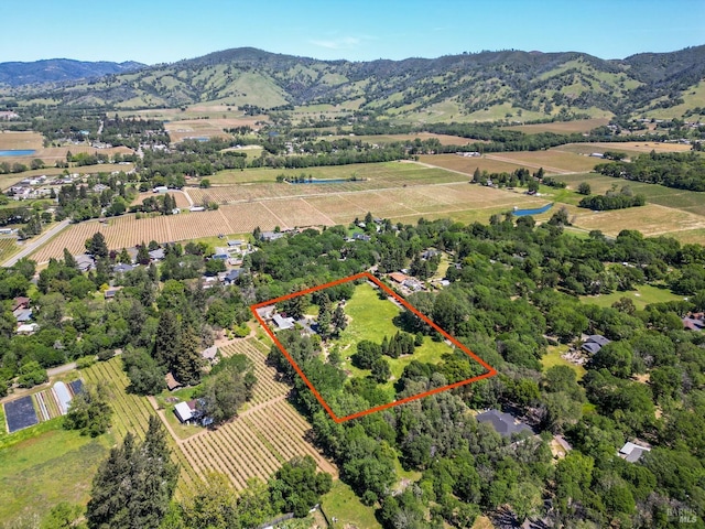 drone / aerial view with a mountain view and a rural view