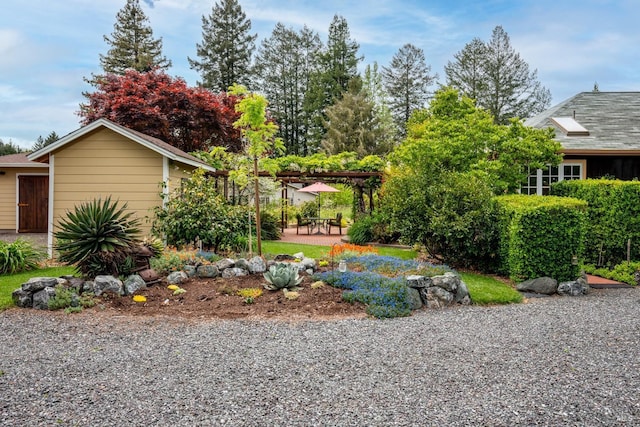 view of yard featuring a patio area