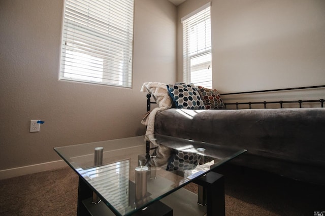 bedroom with carpet flooring and multiple windows