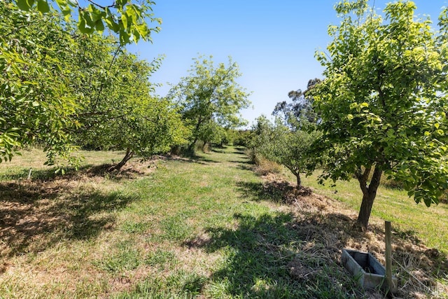 view of nature with a rural view