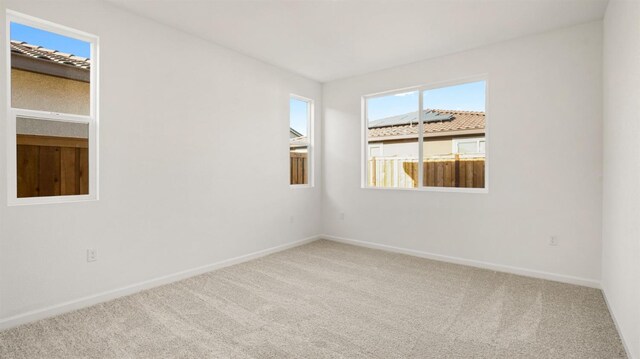 spare room with carpet floors