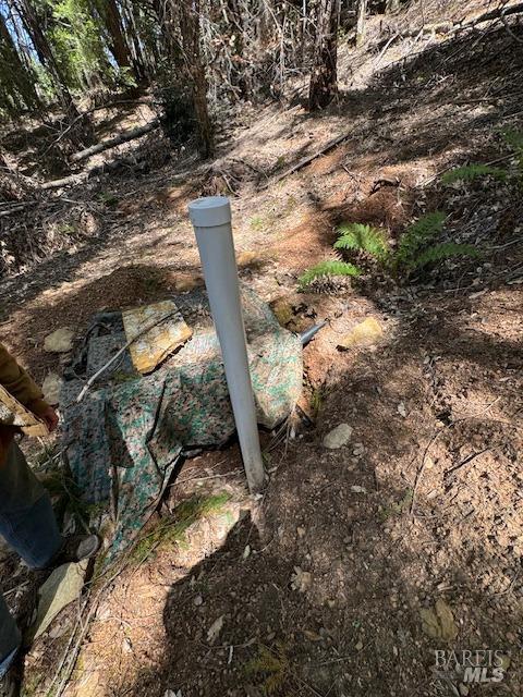 29300 Pinecrest Rd, Willits, CA 95490