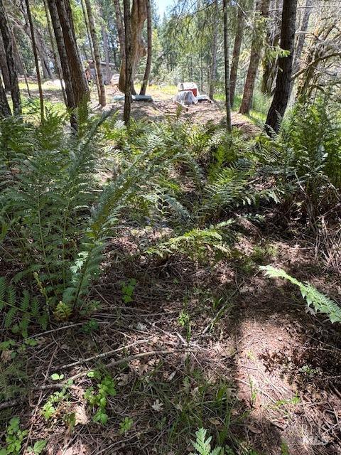 29300 Pinecrest Rd, Willits, CA 95490