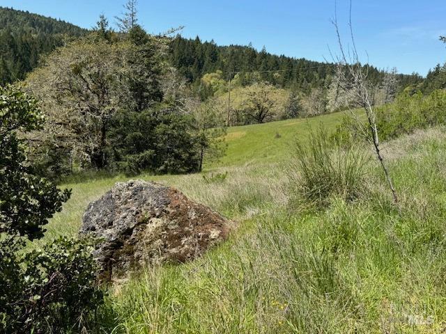 29300 Pinecrest Rd, Willits, CA 95490