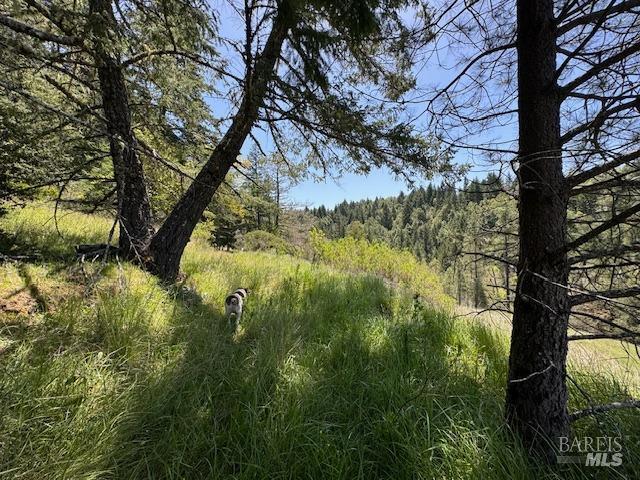 29300 Pinecrest Rd, Willits, CA 95490