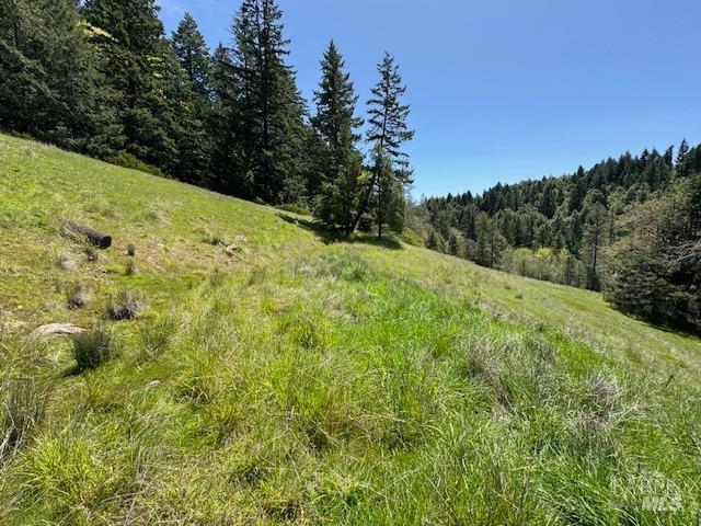 29300 Pinecrest Rd, Willits, CA 95490