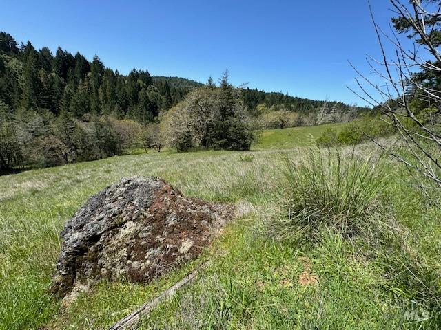 29300 Pinecrest Rd, Willits, CA 95490