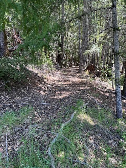 29300 Pinecrest Rd, Willits, CA 95490