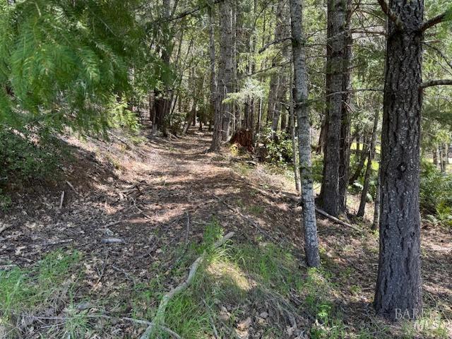 29300 Pinecrest Rd, Willits, CA 95490