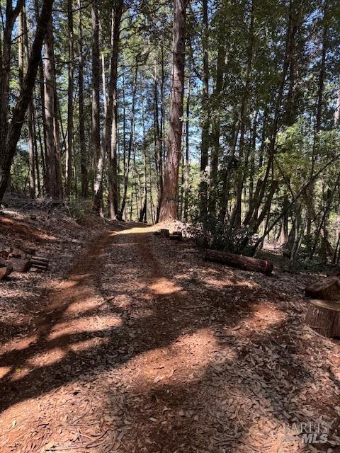 29300 Pinecrest Rd, Willits, CA 95490