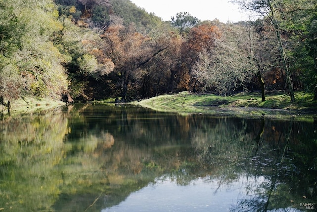 view of water feature featuring a wooded view