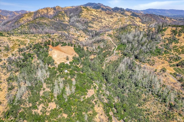 bird's eye view with a mountain view