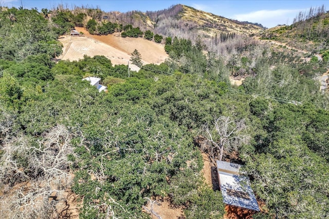 exterior space featuring a mountain view