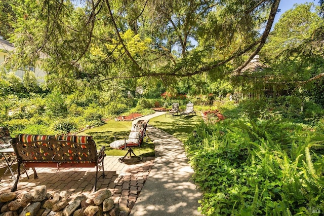 view of community featuring a patio and a lawn