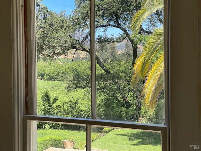 751 Crystal Springs Rd, Saint Helena, CA 94574 - view of interior details