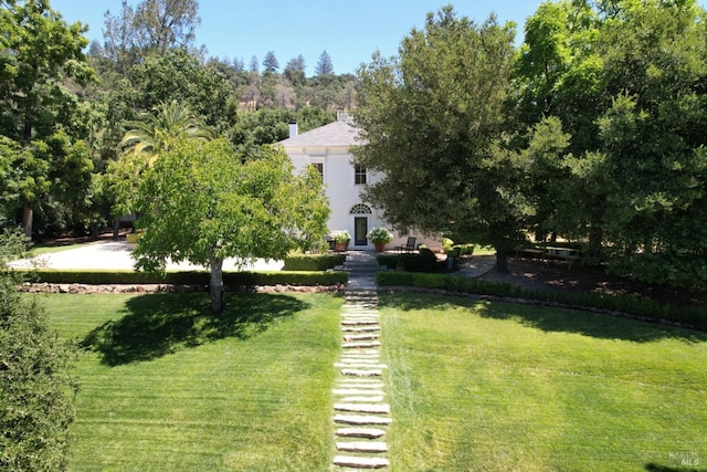 751 Crystal Springs Rd, Saint Helena, CA 94574 - view of yard
