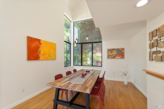 dining room with light wood-type flooring