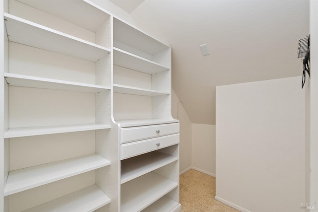 walk in closet with light colored carpet