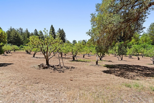 view of local wilderness featuring a rural view