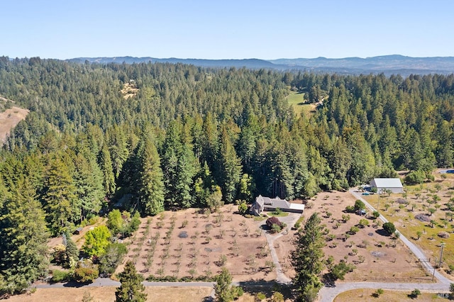 birds eye view of property featuring a mountain view