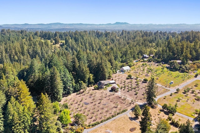 bird's eye view featuring a mountain view