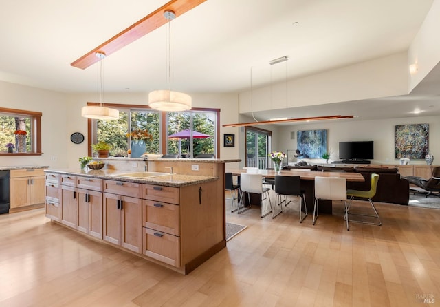 kitchen featuring light wood-type flooring, light stone counters, sink, pendant lighting, and a center island with sink