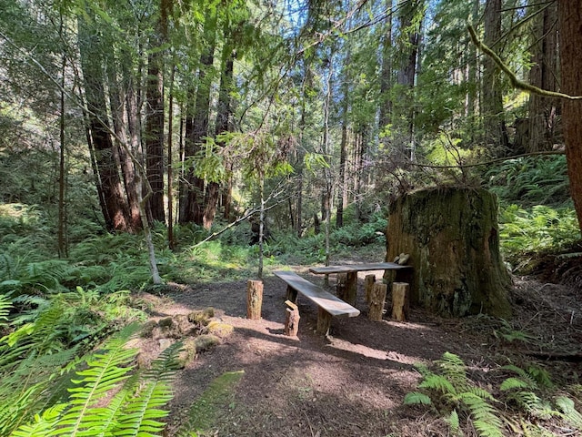 21995 Ansel Ct, Timber Cove, CA 95450 - view of yard with a wooded view