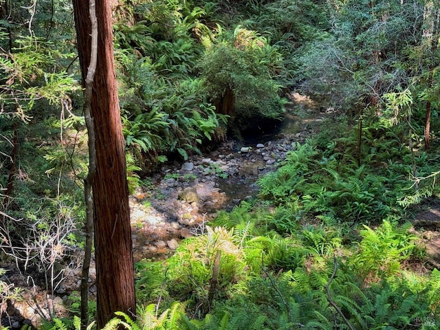 21995 Ansel Ct, Timber Cove, CA 95450 - view of nature