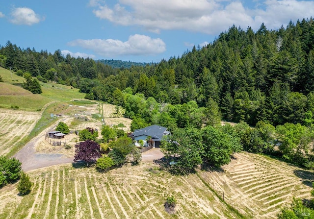 bird's eye view featuring a rural view