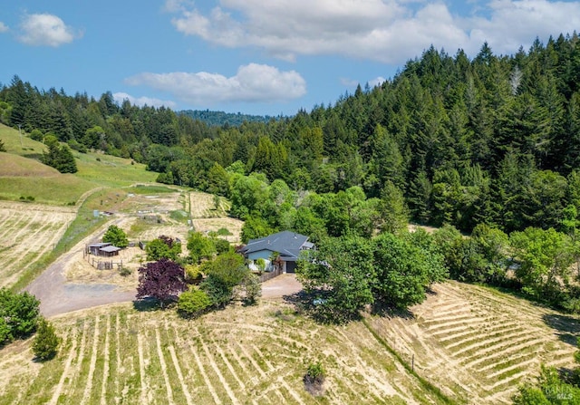 drone / aerial view featuring a forest view and a rural view