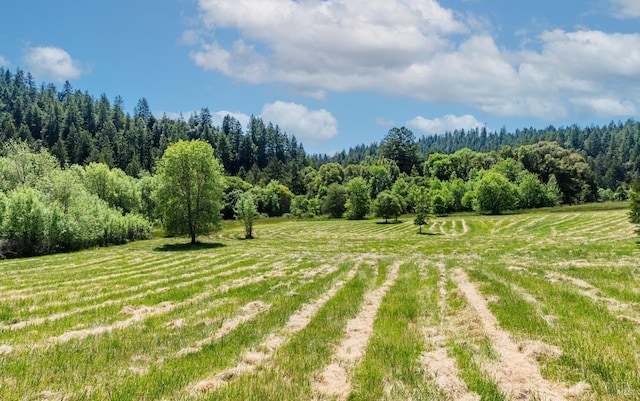 exterior space featuring a rural view and a forest view