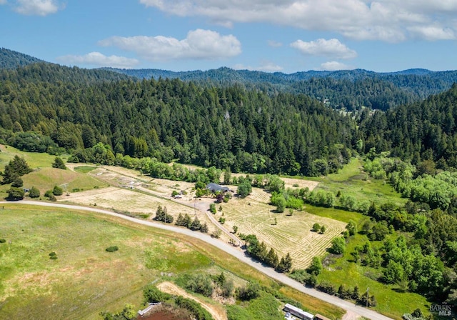 aerial view with a forest view