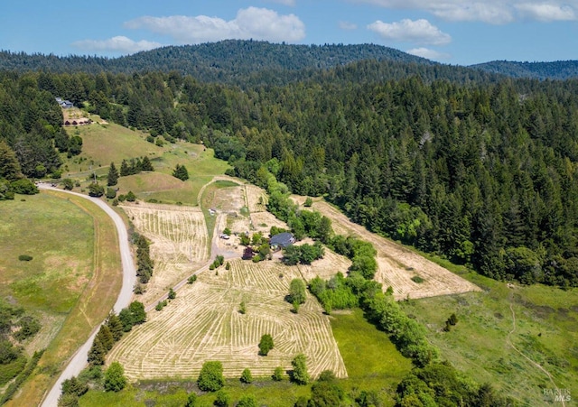 drone / aerial view featuring a view of trees