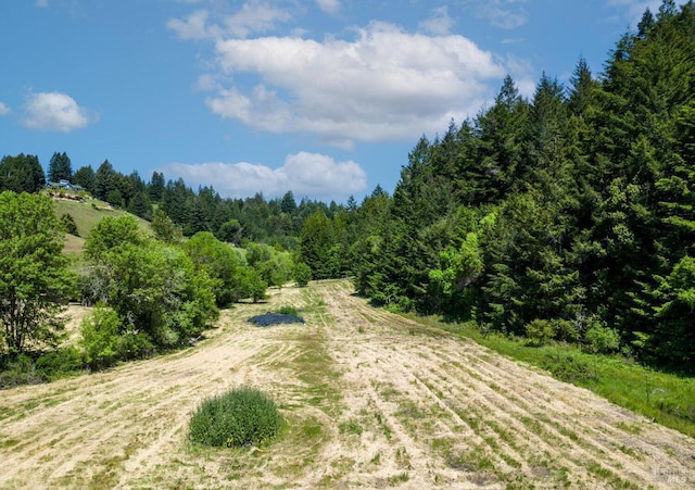 view of road featuring a wooded view