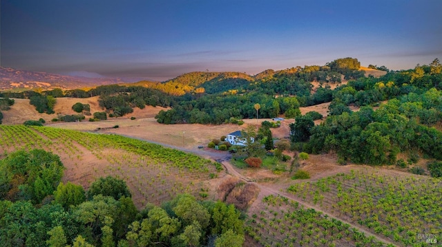 aerial view at dusk with a rural view