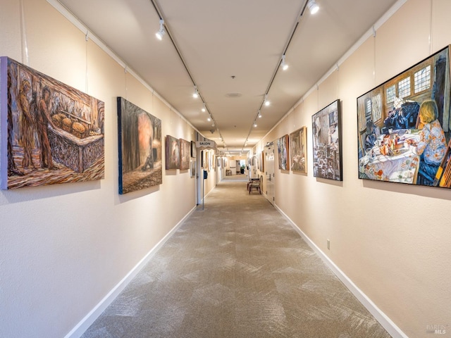 hall featuring carpet floors and rail lighting