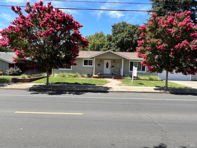 view of front facade with a front lawn