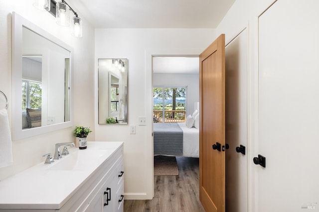 bathroom featuring wood-type flooring, vanity, and plenty of natural light