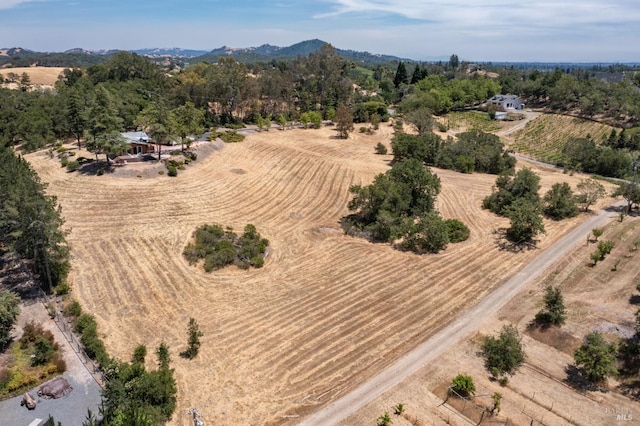 birds eye view of property with a mountain view and a rural view