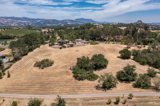 bird's eye view with a mountain view and a rural view